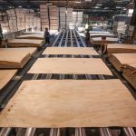 How is Plywood Made?