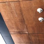 Coated plywood without a mould inhibitor