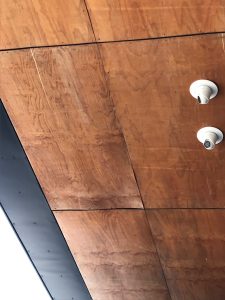 Coated plywood without a mould inhibitor