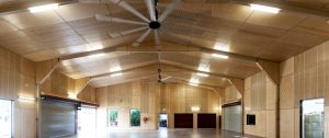 Hoop Pine Ceiling and Walls